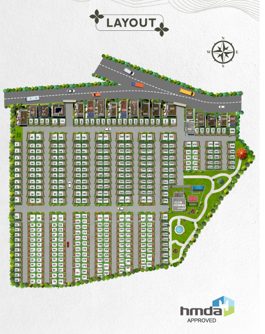 Layout 1